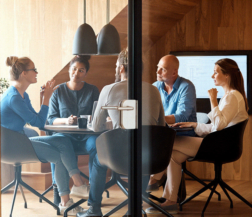 Professional consultation meeting